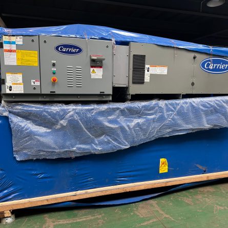 WhatsApp Image 2025-12-13 at 14.28.01_8d28d9e6